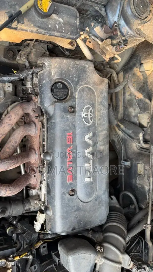 Toyota RAV4 2008 Bleu