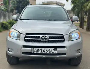 Toyota RAV4 2008 Gris