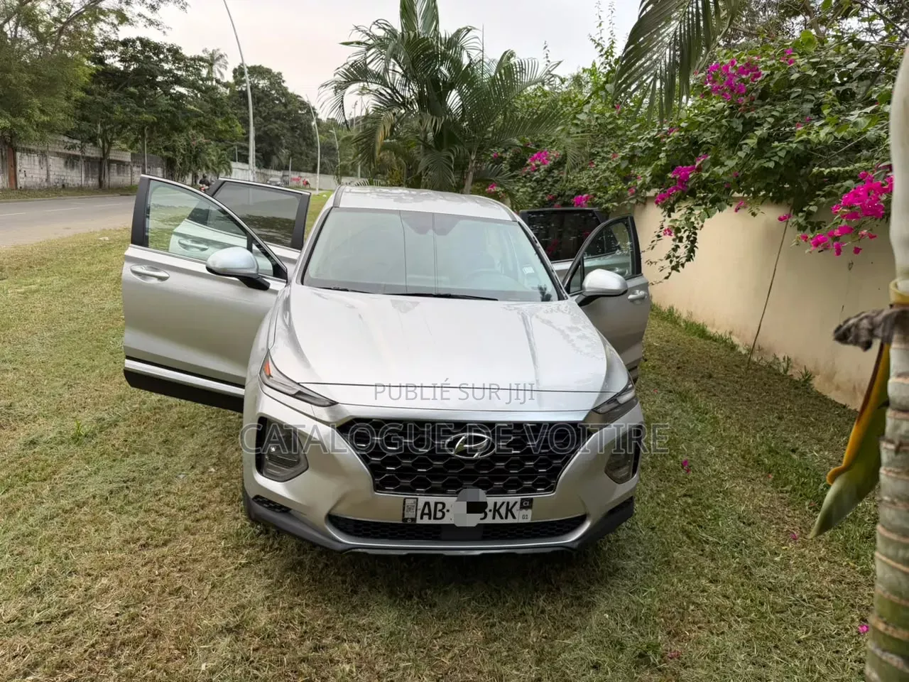 Hyundai Santa Fe 2019 Gris