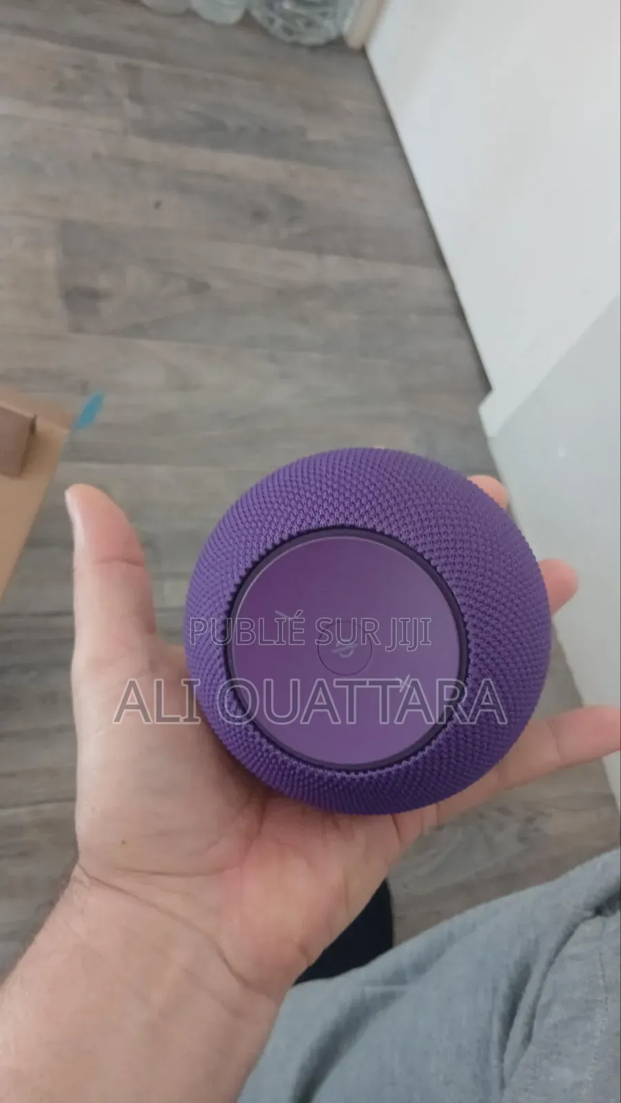 Alexa Echo Dot Max
