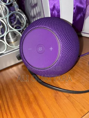 Alexa Echo Dot Max