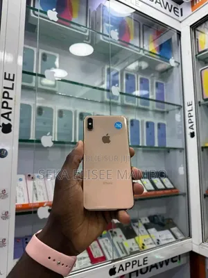 Apple iPhone XS Max 256 GB Argenté