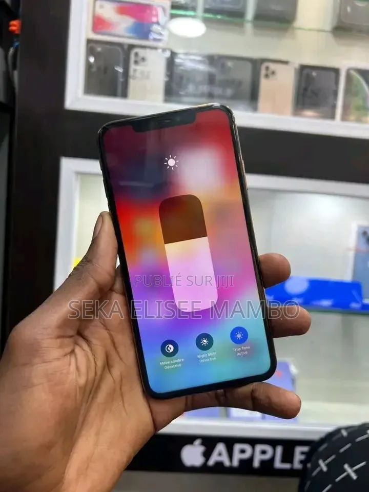 Apple iPhone XS Max 256 GB Argenté