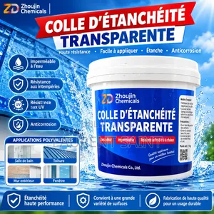 Colle d'Étanchéité Transparente