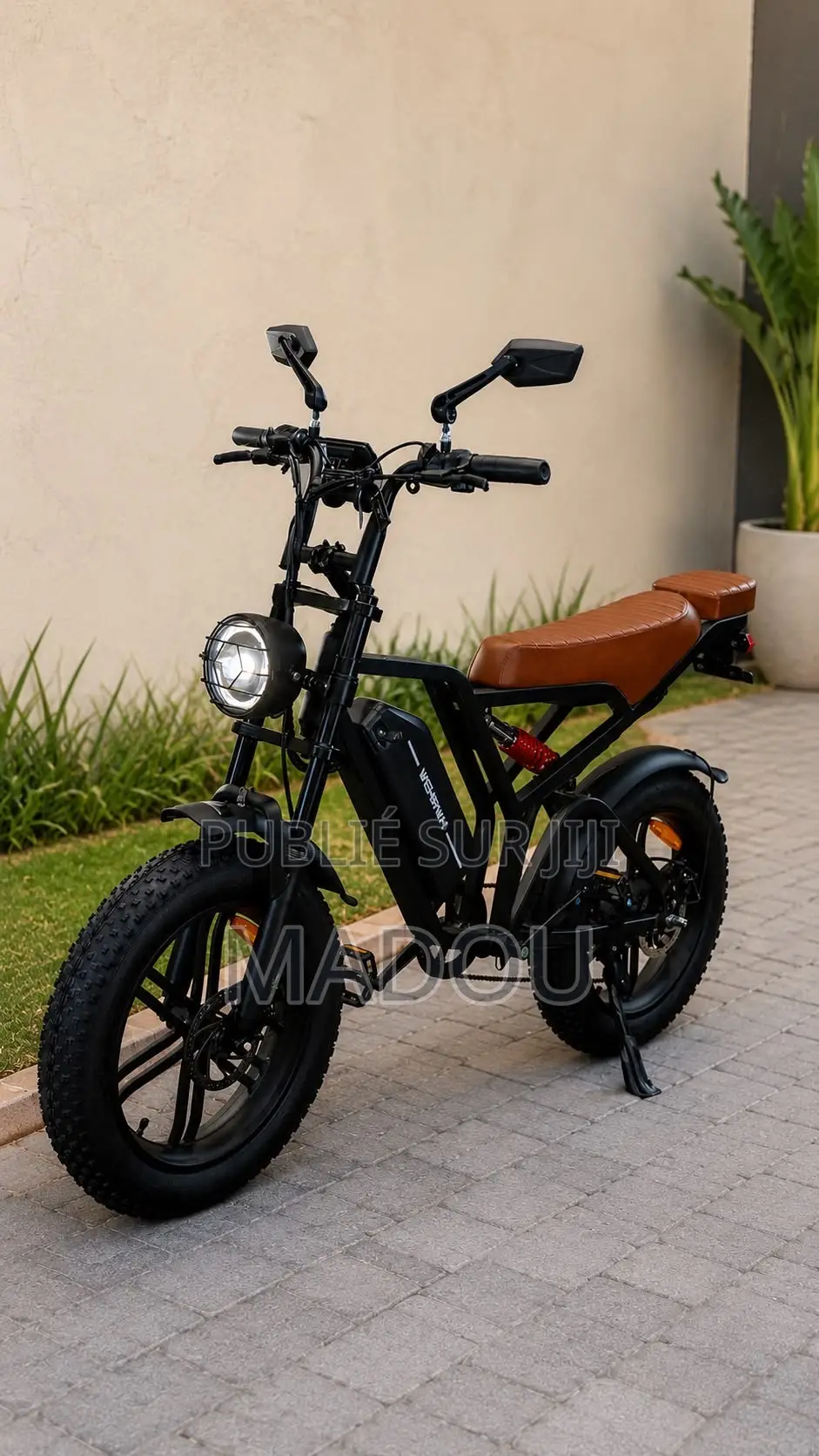 Vélo Électrique