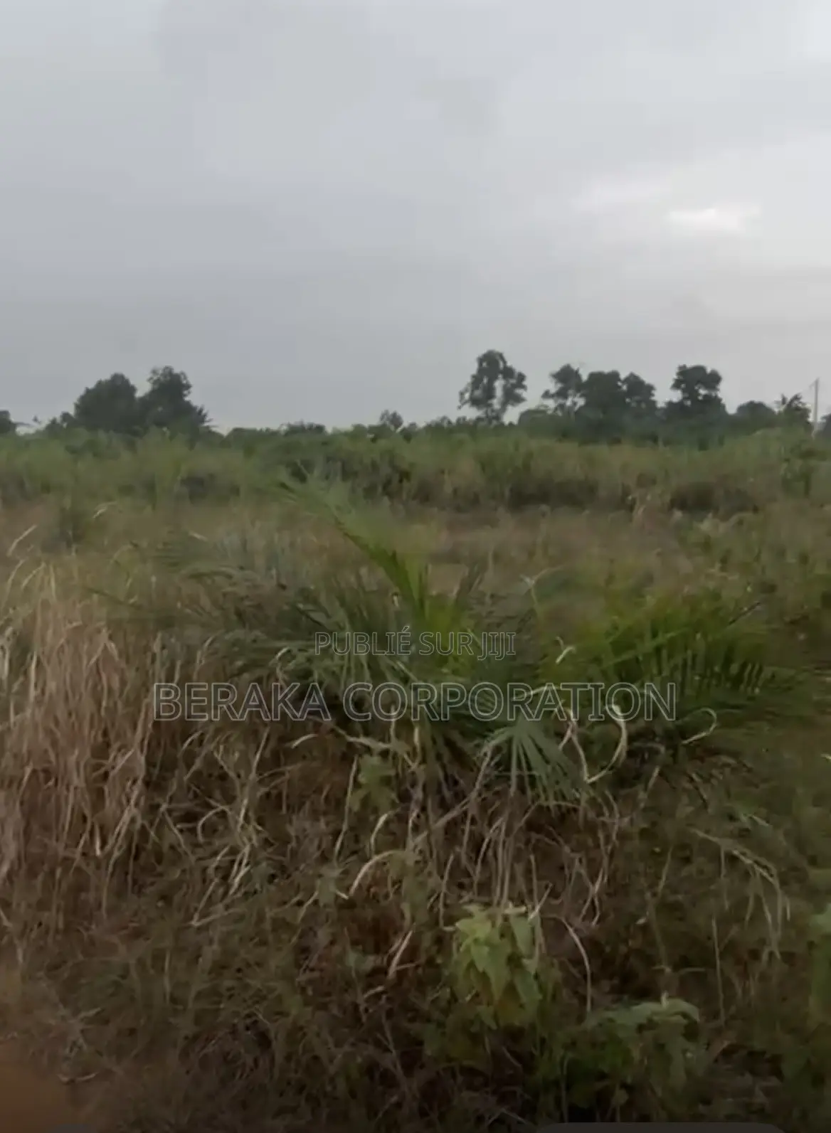 BINGERVILLE – AKOUAI-AGBAN  500 M2 |  ACD Individuel  17 M FCFA 