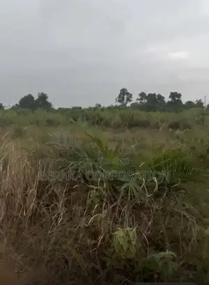 BINGERVILLE – AKOUAI-AGBAN  500 M2 |  ACD Individuel  17 M FCFA 