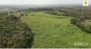 Superficie : 8 Hectares  Document : Acd