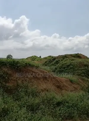  *Vraie Opportunité – Terrain À Vendre À Bingerville Eloka*   Empl
