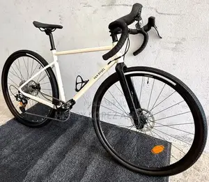 Vélo Électrique