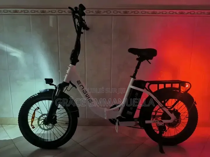 Vélo Électrique
