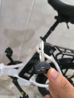 Vélo Électrique