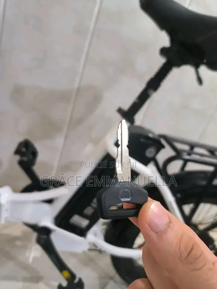 Vélo Électrique