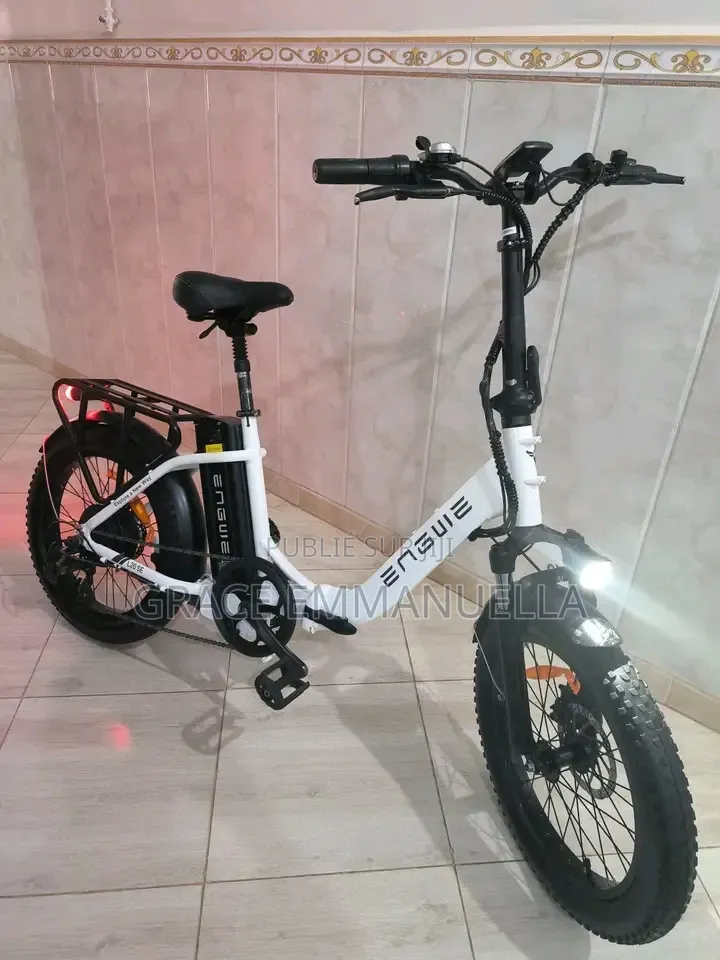 Vélo Électrique