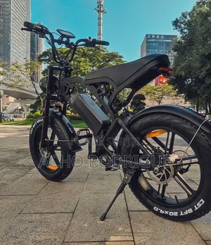 Vélo Électrique