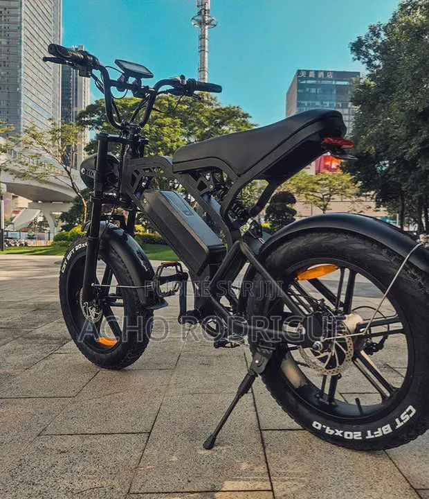 Vélo Électrique