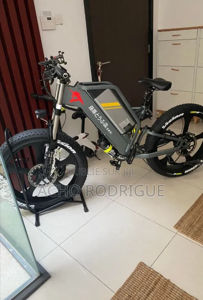 Vélo Électrique