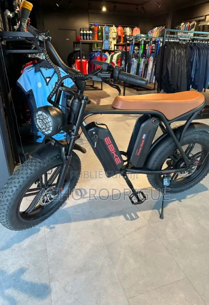 Vélo Électrique