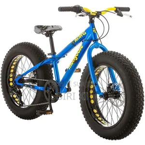 Vélo Robuste