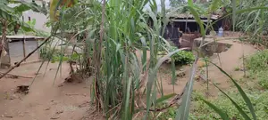 Terrain en Vente