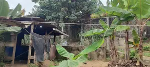 Terrain en Vente