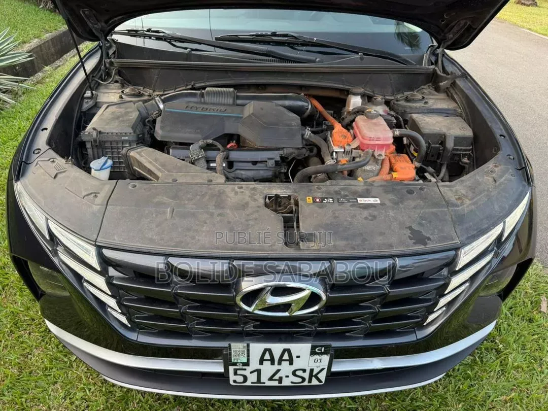 Hyundai Tucson Limited 2023 Bleu