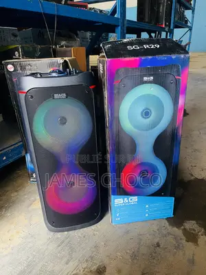 SG-R29 Haut Parleur Enceinte Bluetooth Rechargeable