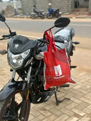 Nouveau Haojue DR300 2026 Gris
