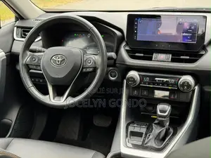 Toyota RAV4 2022 Gris