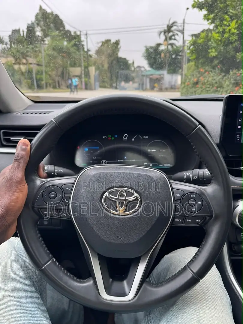 Toyota RAV4 2022 Gris