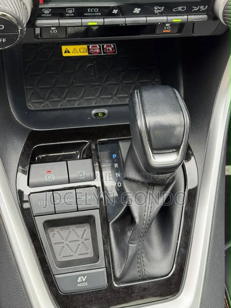 Toyota RAV4 2022 Gris
