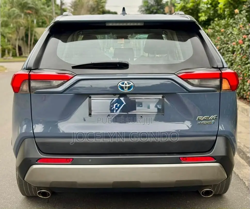Toyota RAV4 2022 Gris