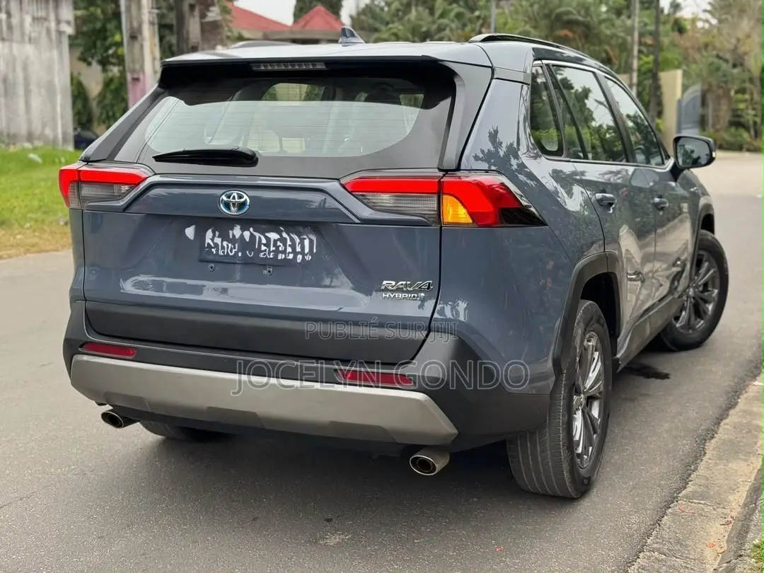 Toyota RAV4 2022 Gris