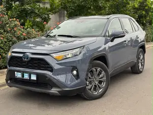 Toyota RAV4 2022 Gris