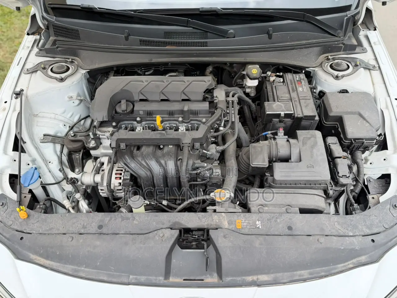 Hyundai Elantra 2026 Blanc
