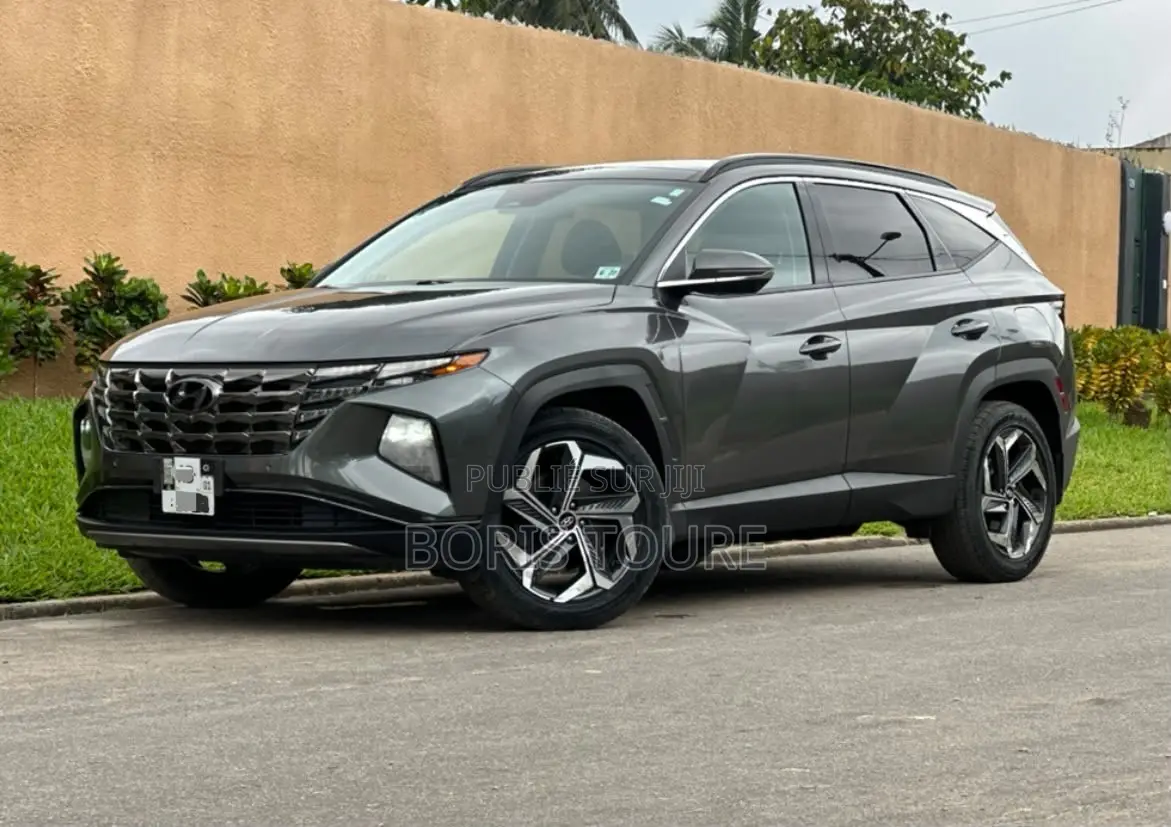 Hyundai Tucson 2022 Gris