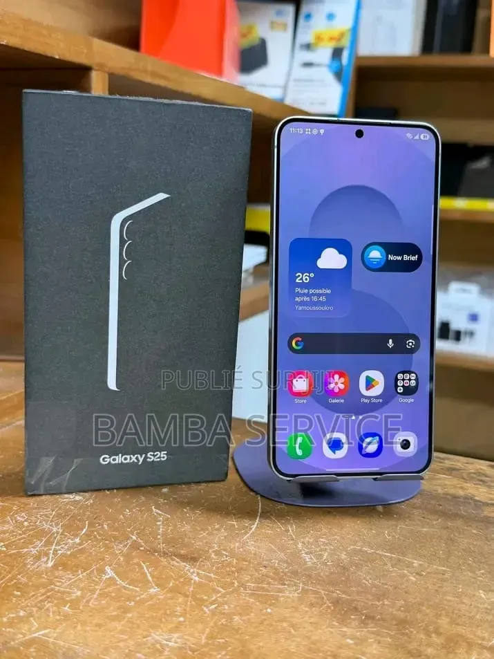 Nouveau Samsung Galaxy S25 512 GB Autre