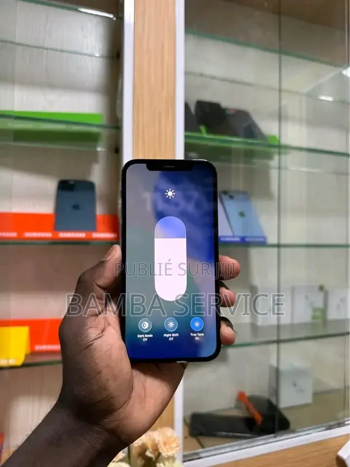 Nouveau Pomme iPhone 12 Pro 256 GB Bleu
