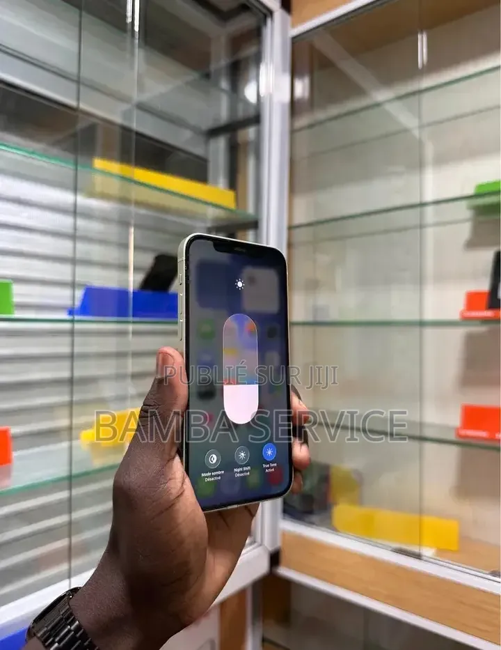 Nouveau Pomme iPhone 12 256 GB Vert
