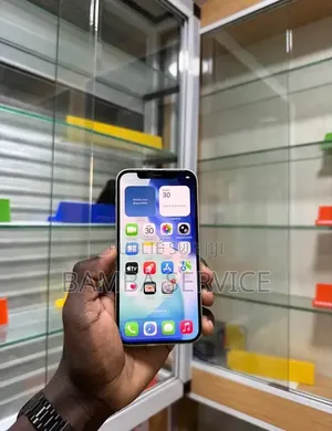 Nouveau Pomme iPhone 12 256 GB Vert