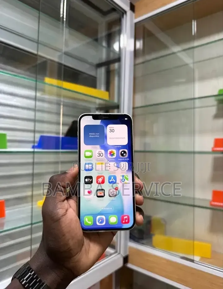 Nouveau Pomme iPhone 12 256 GB Vert