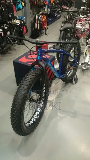 Vélo Magnifique