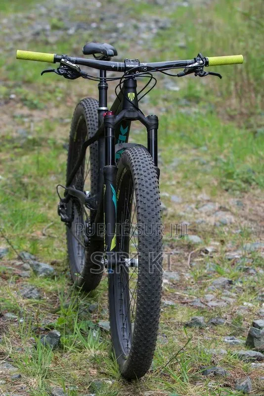Chic Vélo V