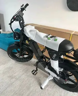 Vélo Électrique Neuf