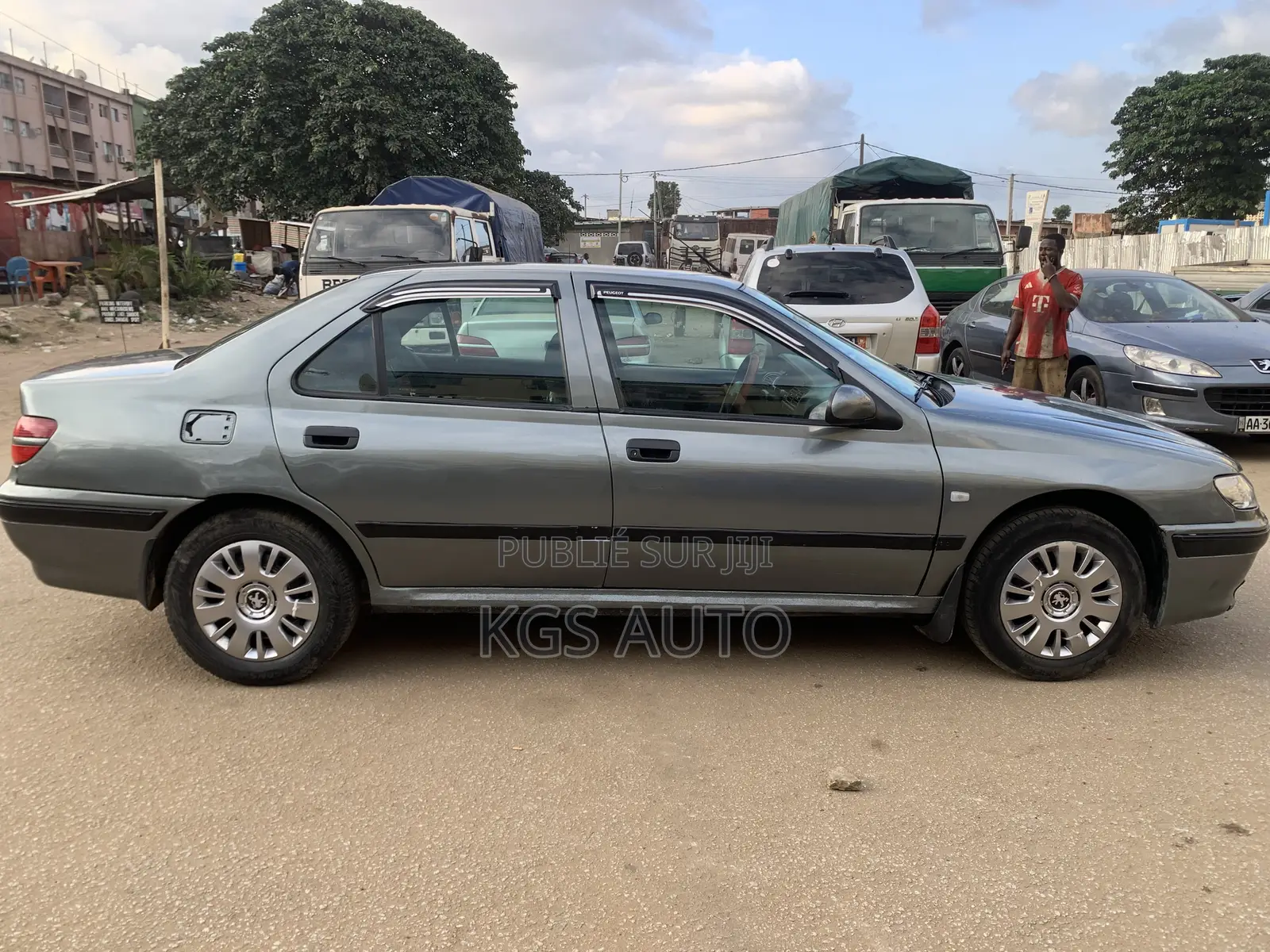 Peugeot 406 Coupe 2001 Gris