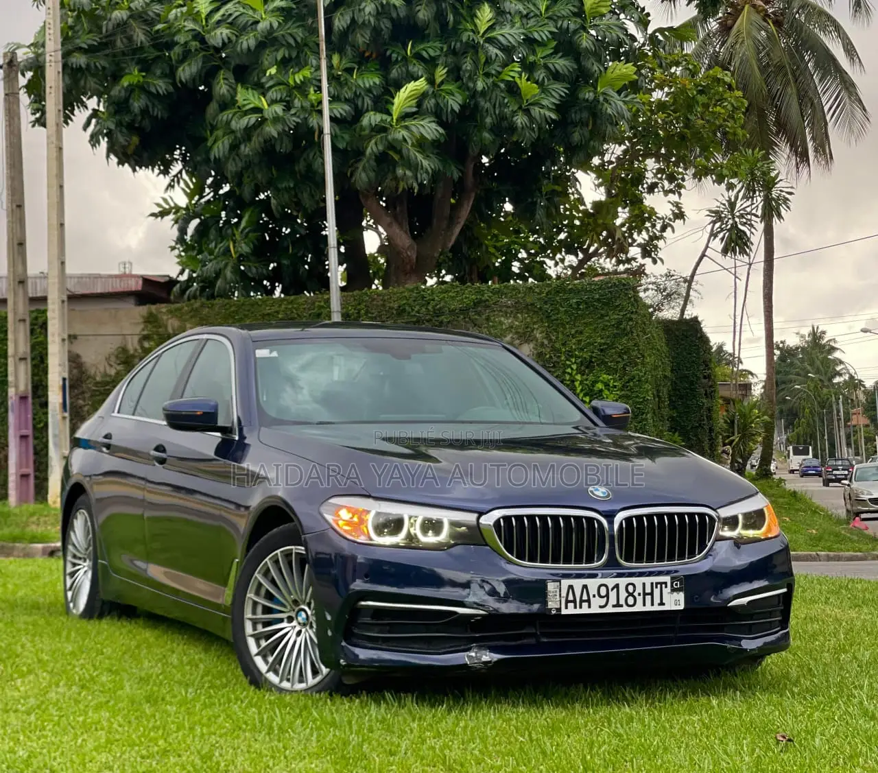 BMW 520i 2018 Bleu