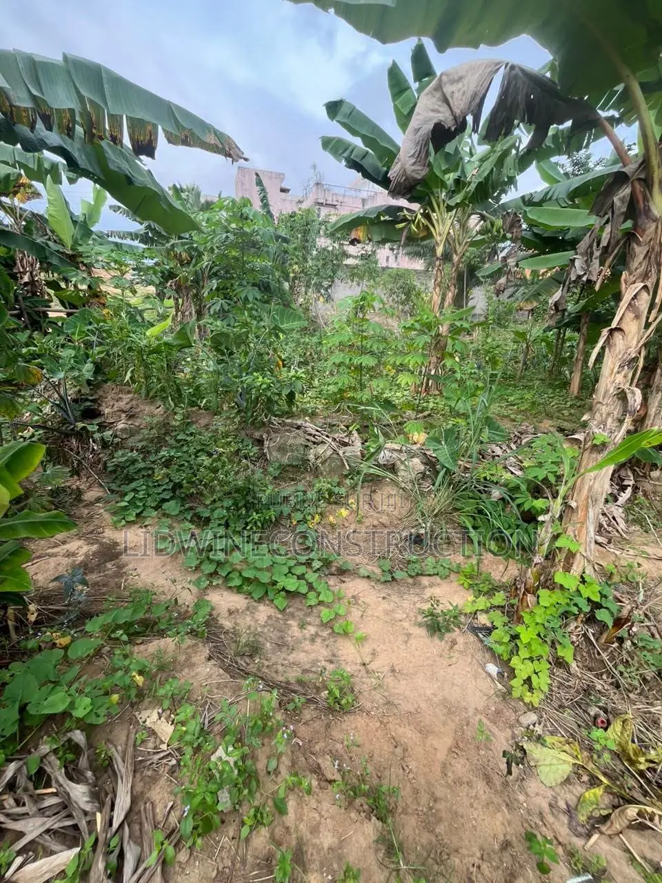 Terrain en Vente