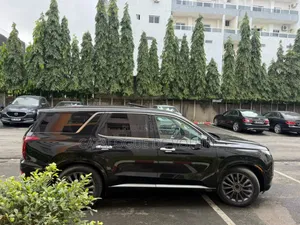 Hyundai Palissade 2021 Noir