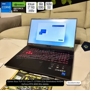 Nouveau Asus TUF Gaming F17 16GB Intel Core i7 SSD 512GB