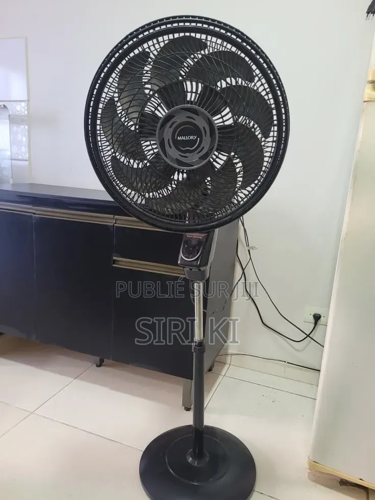 Ventilateur Domestique